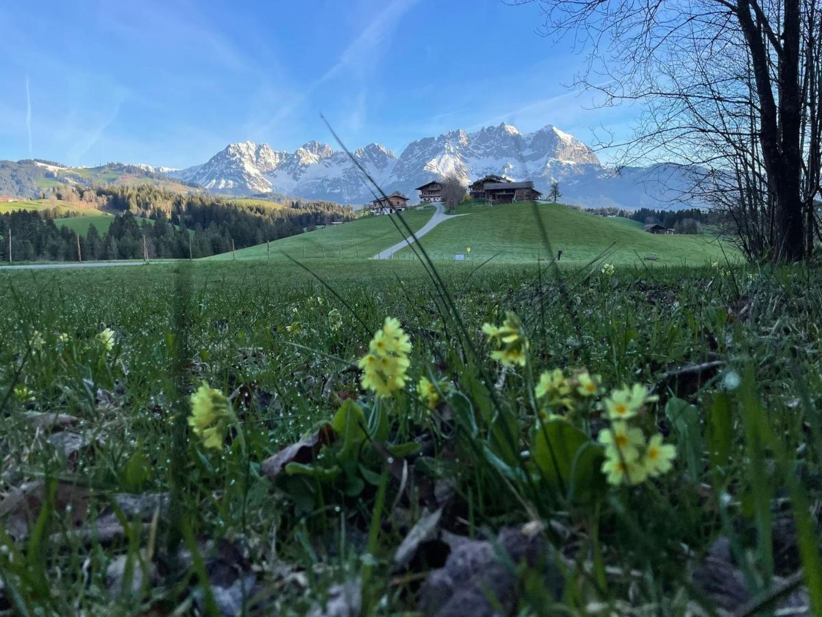 Apartament Mountain Vista - Bio Yoga Hof Kitzbühel Zewnętrze zdjęcie