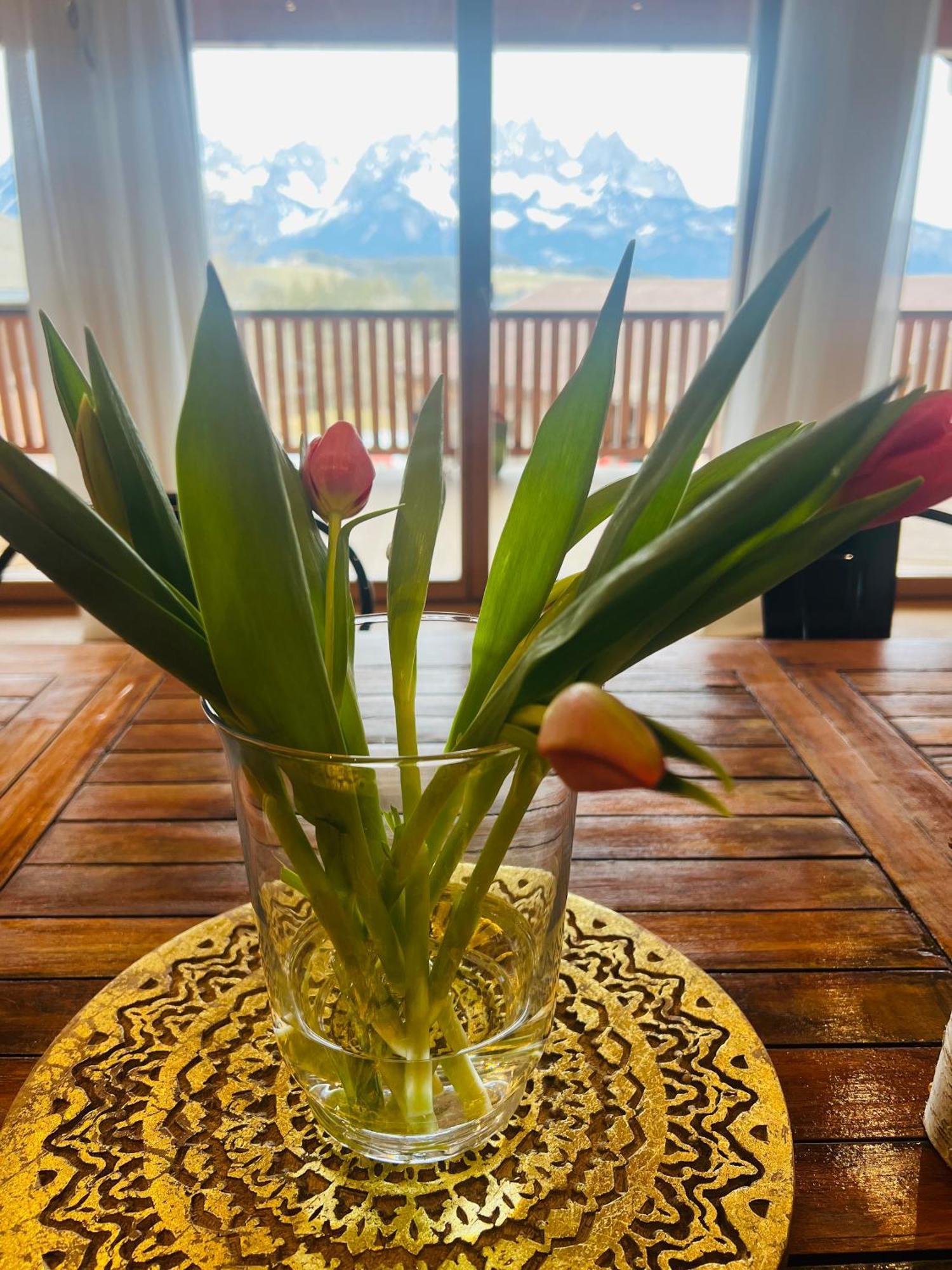 Apartament Mountain Vista - Bio Yoga Hof Kitzbühel Zewnętrze zdjęcie